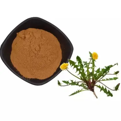 Dandelion Extract Powder for sale