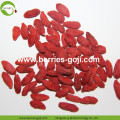 Factory Wholesale Sun Dried New Harvest Wolfberry