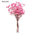 Dark Pink