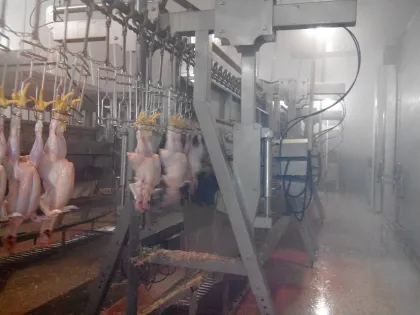 Chicken, Duck, Goose Butcher Machine