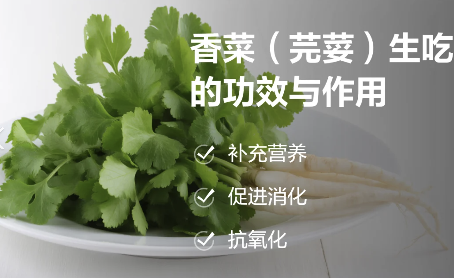 Coriander Extract Manufacturer