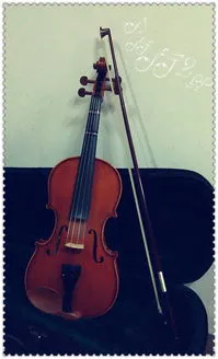 Violin