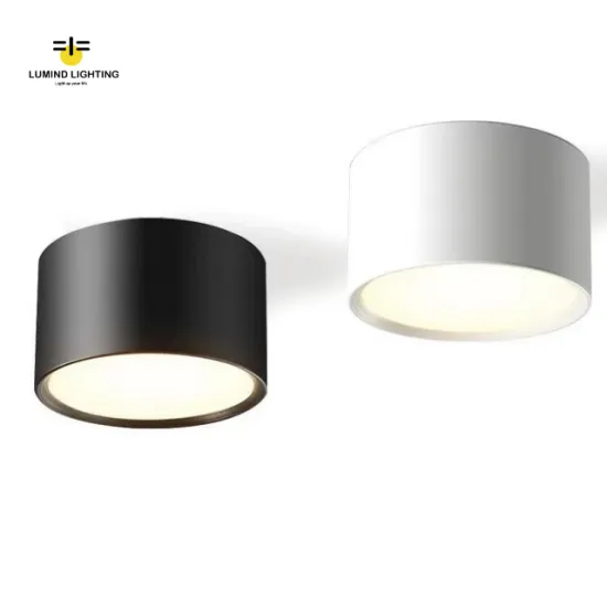 Modern Downlights: Lumind Corridor Surface Mounted Lights for Indoor Ceiling