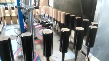 automatische Farbspritzsysteme Holzlackiermaschine