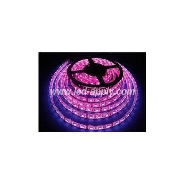 smd5050 plug in strip light 30pcs led per meter