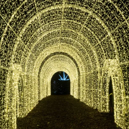 Commercial LED Tunnel Entrance Christmas Lights for Outdoor Decorations
