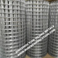 Welded Wire Mesh for Animals Galvanized