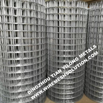 Welded Wire Mesh for Animals Galvanized