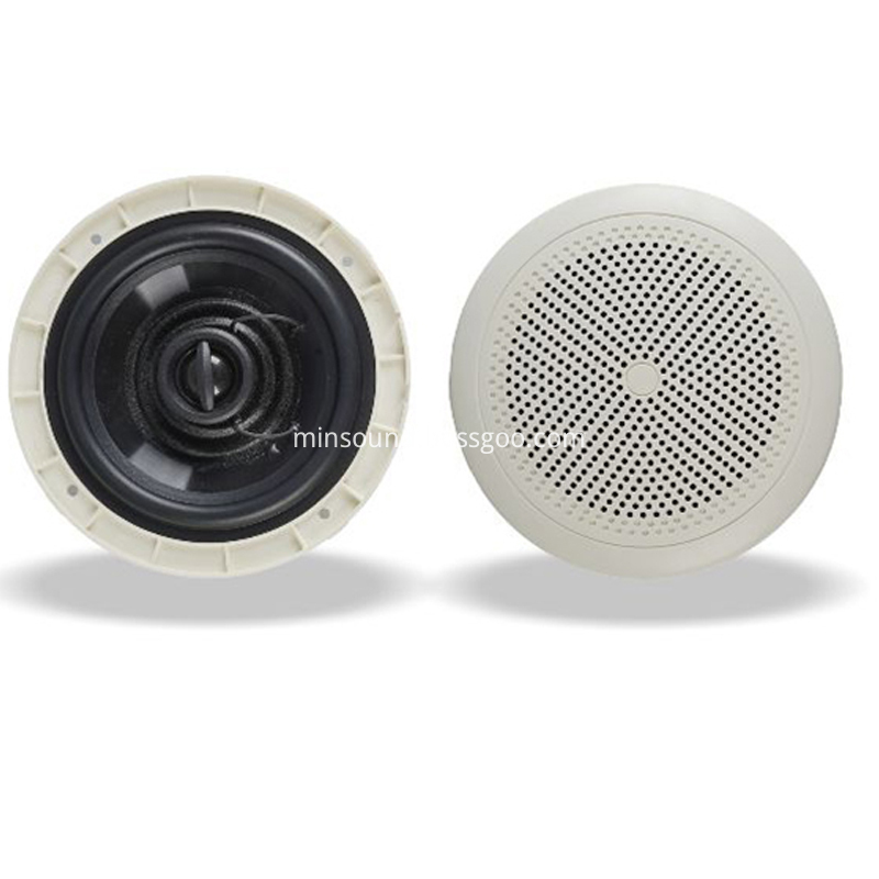 Altoparlanti del soffitto Ceiling Speakers