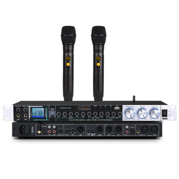 Professional EIF-FX20 Dual Wireless Microphone System with Bluetooth, Karaoke DSP, and Audio Processor for Stage Use