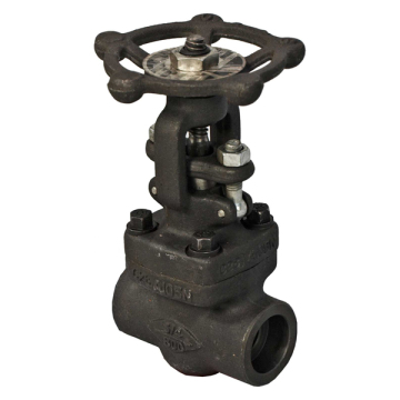 Price and Details of ANSI B 16.10 A105 Class 800 SW End Forged Globe Valve