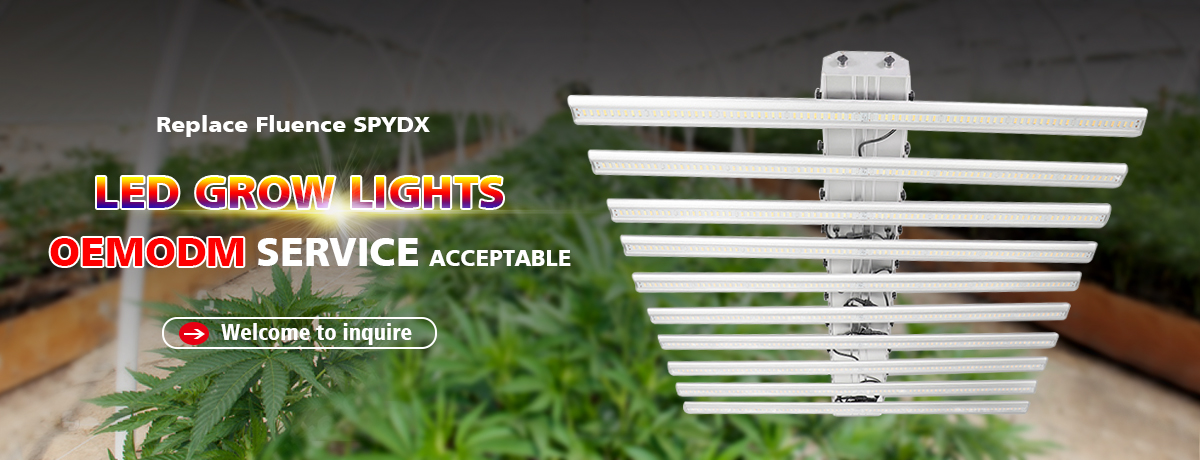 Fluence Grow Light Bar