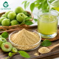 Proveedor natural de polvo de ciruela verde Prunus Mume