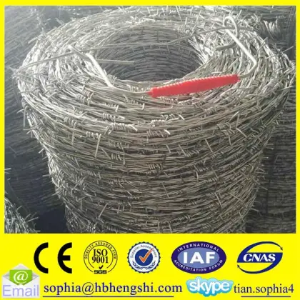 Hebei galvanized barbed wire/barbed wire fence/barbed wire mesh fence                        
                                                                                Supplier's Choice