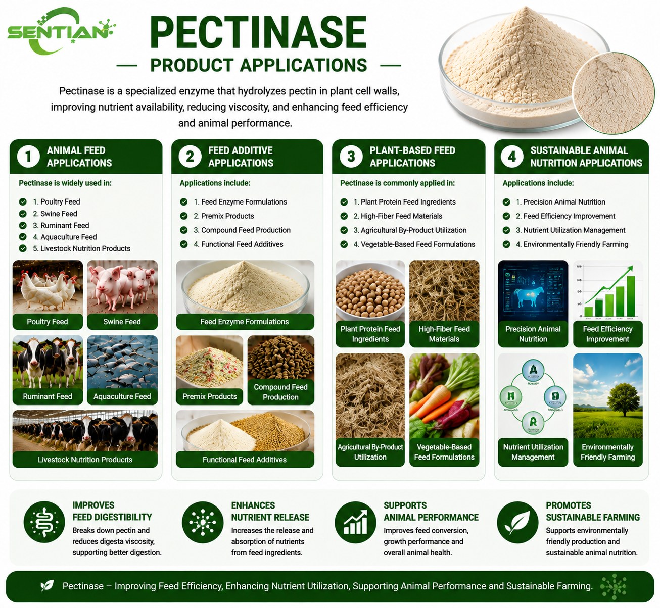 Pectinase（2）