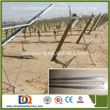 Grape manor 1460mm Length galvanized vineyard gable trellis