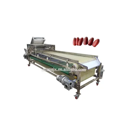 Jujube Pitting, Date Sorting, Date Palm Processing & Red Dates Grading Machine Prices