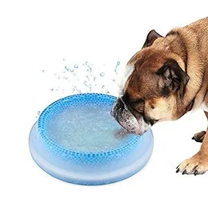 Cooling water Feeder Pet Frosty Bowl