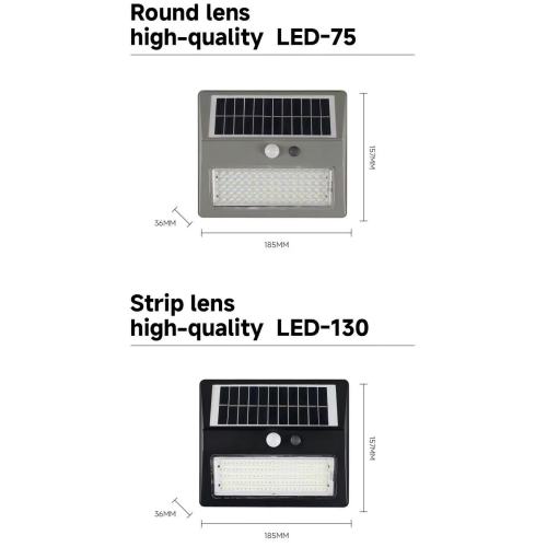 80W Ultra-Dino LED Wall Donce
