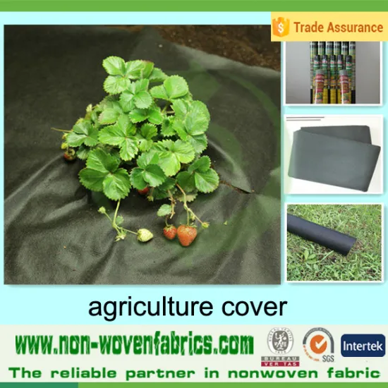 2016 Agriculture Cover pp non woven  Fabric