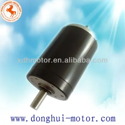 12V DC Motor for kitchen appliances,Small DC Micro Motor for Kitchen appliances