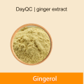 Ginger Extrait de poudre de gingembre