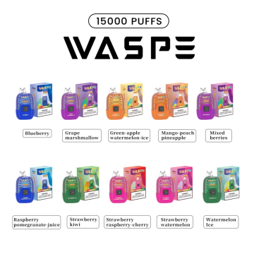 WASPE 15000 PUFFS Digital Box wholesales Europe