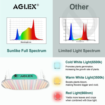 Grande luce a LED 1000W per pianta serra Grow