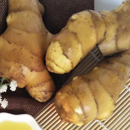 Fresh Ginger Mesh Bag Fresh Vegetable for Sale