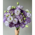 ইউনান ফুল রপ্তানি ডাস্টি গ্রে Lisianthus প্রিমিয়াম মানের