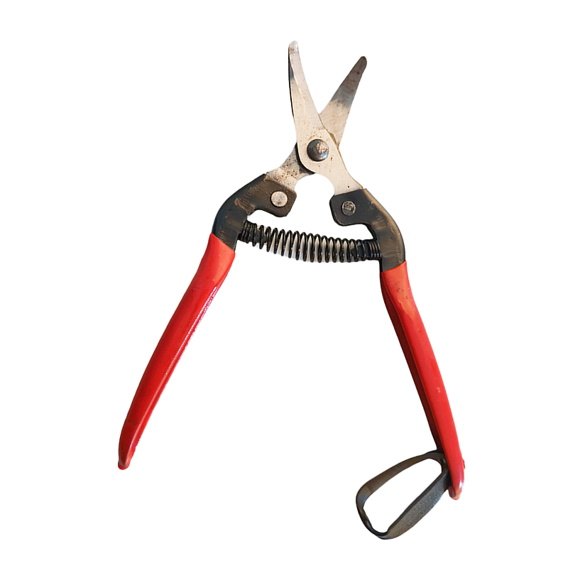2023 new type hand tool fruit pruning shear