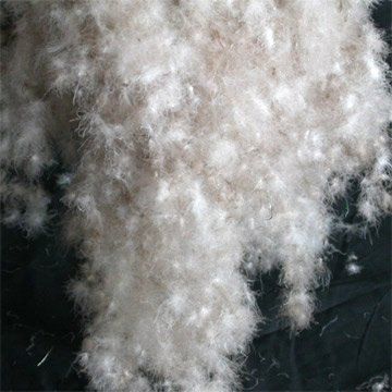90/10 washable white/gray goose down, small orders are accepted