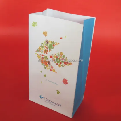 Air Travel Health Supplies: Sick Bag Essentials