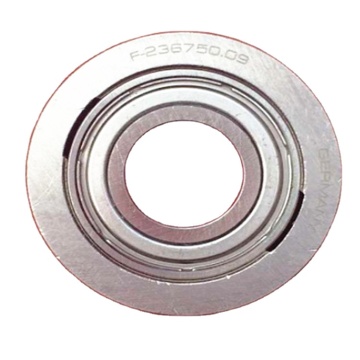 SAIFAN F-236750.09 Printing Machine Full Cylindrical Roller Bearings