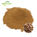 Premium Croton Extract for Plant Care