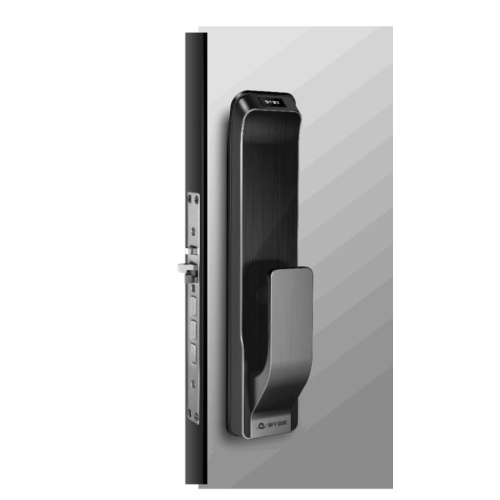 Gesichtserkennung Aluminium Smart Door Schloss
