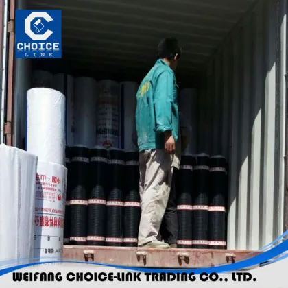 Membrane with bitumen for water and moisture proofing