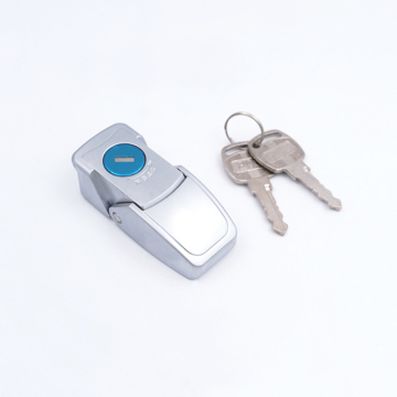 Haitan Hot Sale DKS605-1 Cabinet Hasp Lock Toggle Latch with Keys