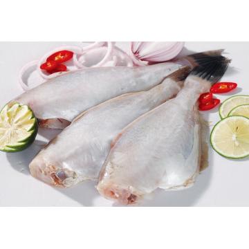 mražená kožená bunda bez kůže