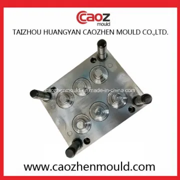 Plastic Injection Gallon Cap Mold in China