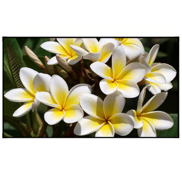 150 Inch ALR Black Diamond Projector Screen - Ultra Narrow Bezel & Ambient Light Rejecting