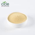 Hesperidin 95% Orange Peel Extract