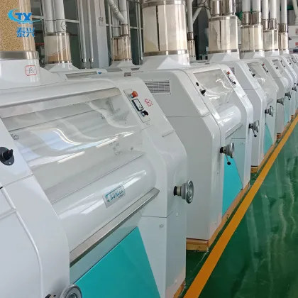 TAIXING Couscous Production Line
