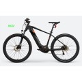 Customized Electric Bicycles For Adults