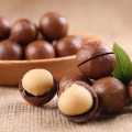 OEM Oryginalny Yunnan Dobra jakość o Macadamia Nut