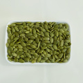 New Big Size Light Green Shine Skin Kernels