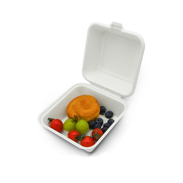 food container boxes disposable biodegradable bagasse