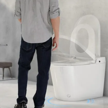 Luxury Intelligent Electric Bidet Smart Toilet