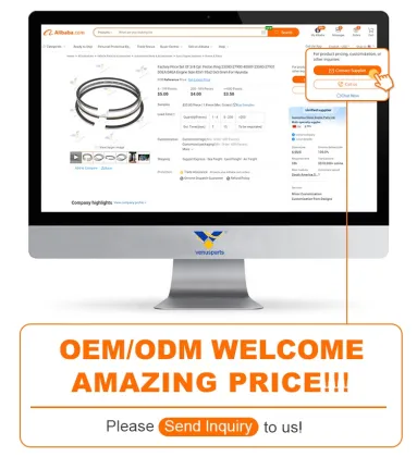 DL08 Piston Ring Set 65.02503-8038 for Doosan Daewoo Bus Engines