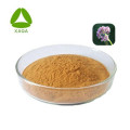 Extracto de raíz de valeriana 4% de ácido valeriánico en polvo